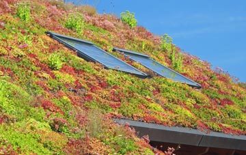 Abergwesyn living roof systems
