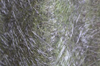 Abergwesyn fibreglass roof work
